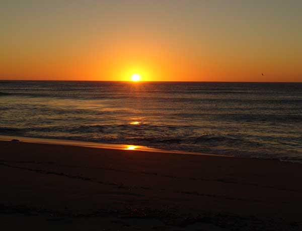 Coastal20050327_7597