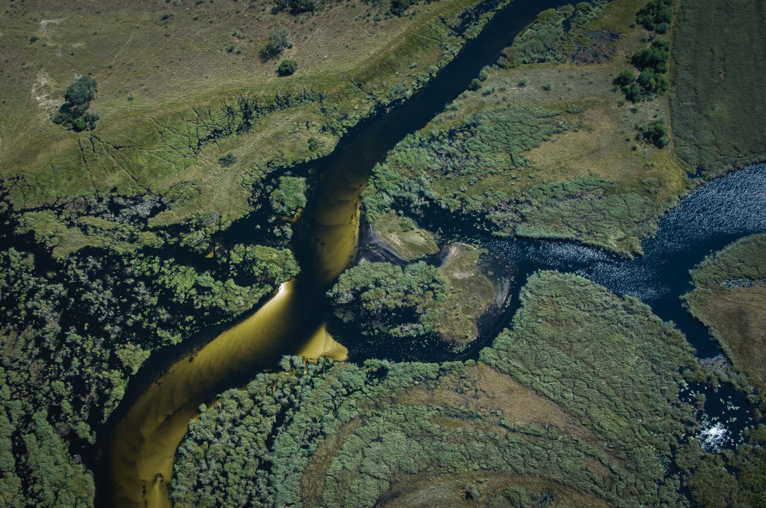 Kwando river