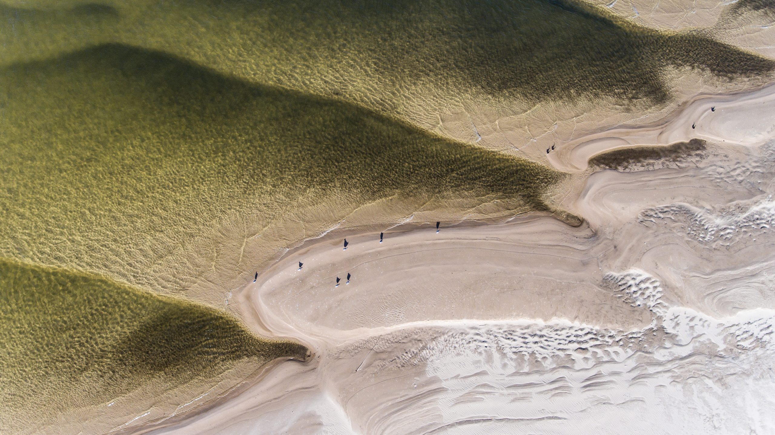 Zambezi River aerial